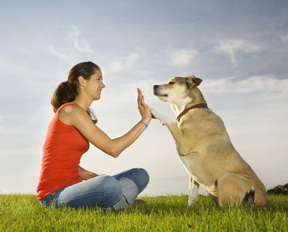 5 Things To Thank Your Dog For