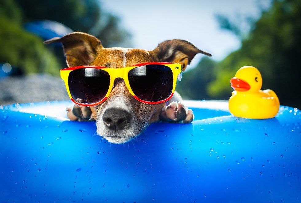 14 Reasons Why Summer Is The Best Season