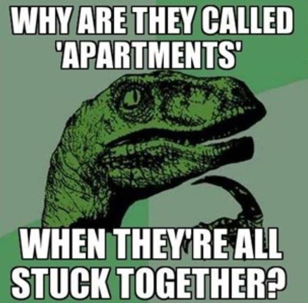 Five Things You Don't Know Until You Go Apartment Hunting