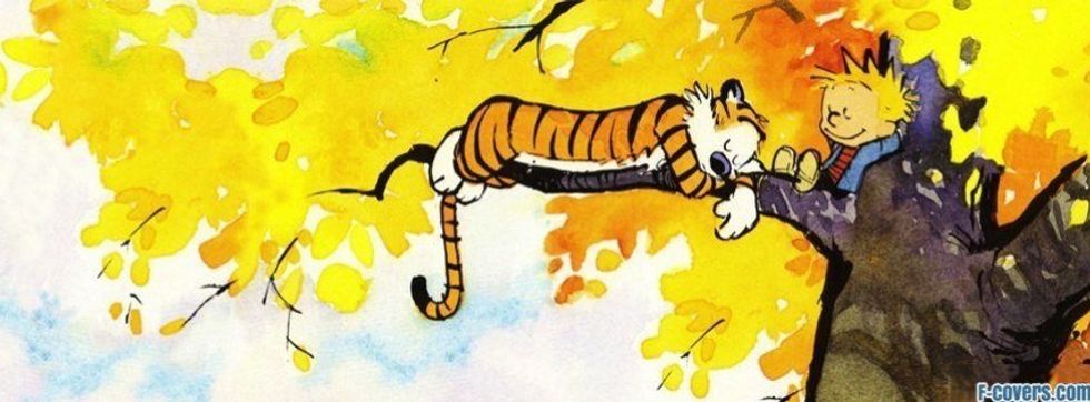 16 Great Lessons From "Calvin and Hobbes"