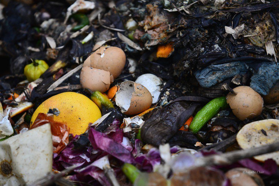 Composting Tips For College Students