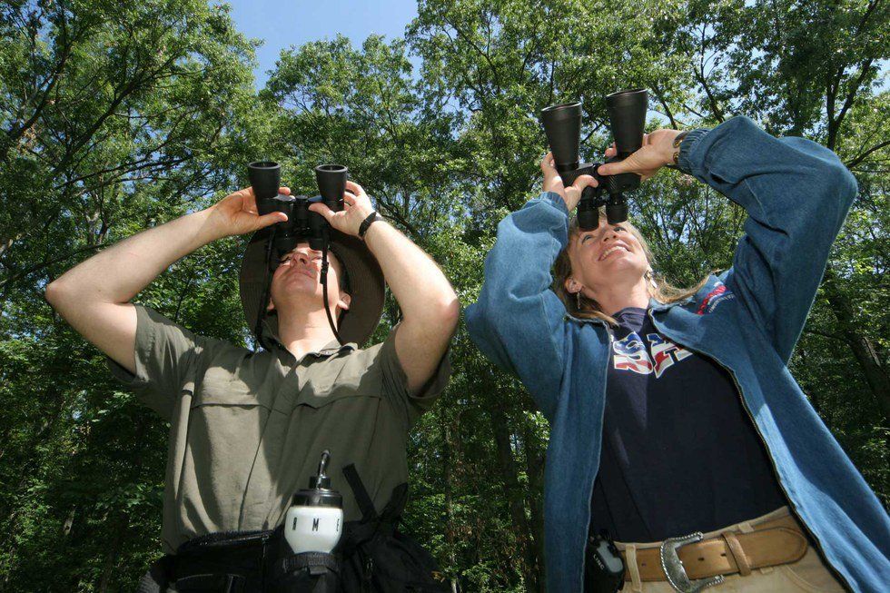 Breaking The Stereotypes Of Birdwatching