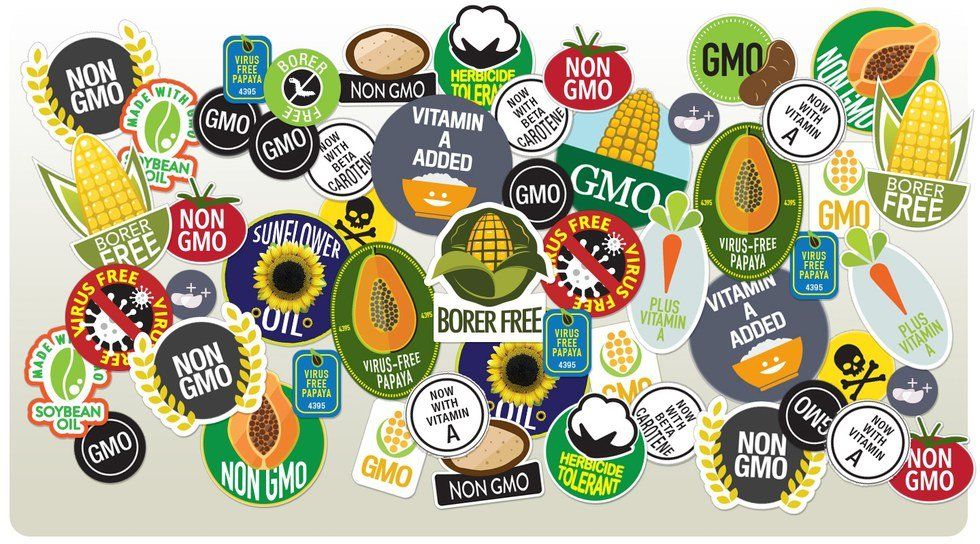 To GMO Or To Not GMO