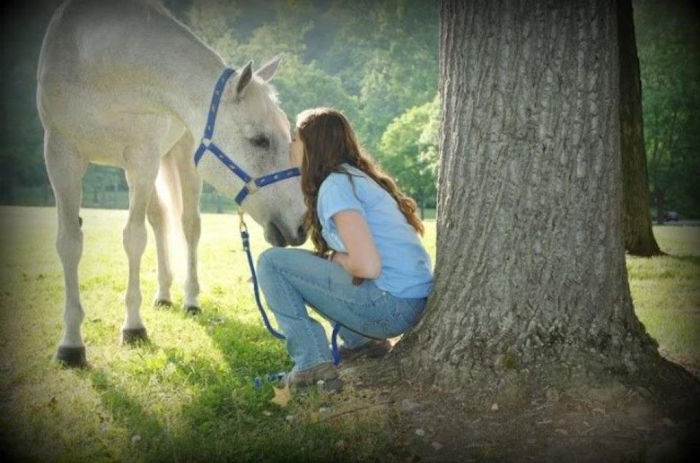 A Letter To My Heart Horse