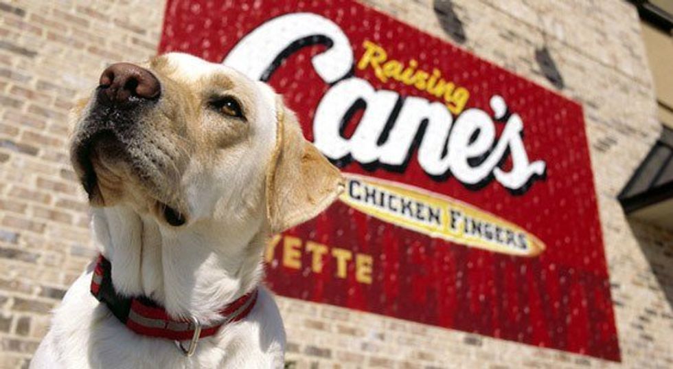 A Love Letter To Raising Cane's