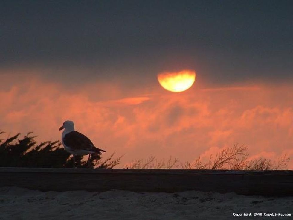 11 Reasons Why Being At The Beach Is The Best Part of Summer