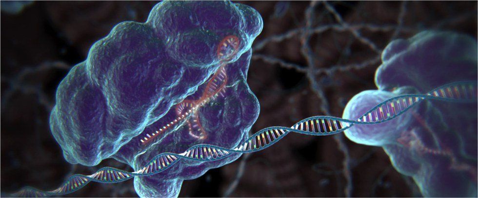 CRISPR-Cas9 Gene Editing: Where Is It Going And What Could It Do?