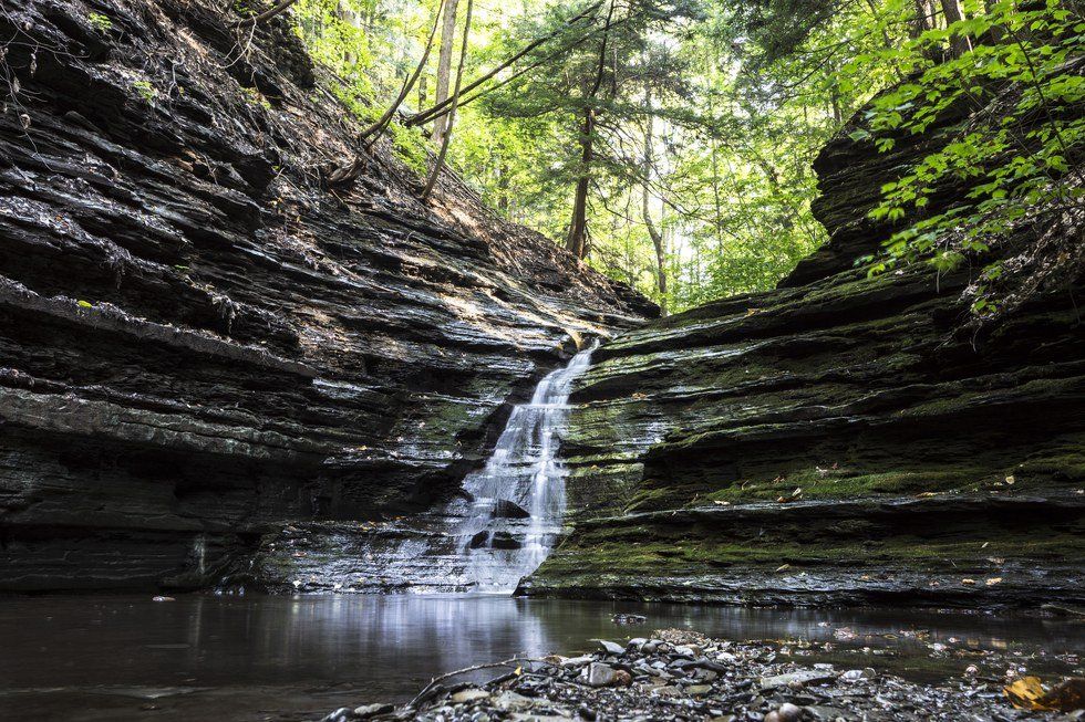 Nature Shows Humans How To Handle Hard Times