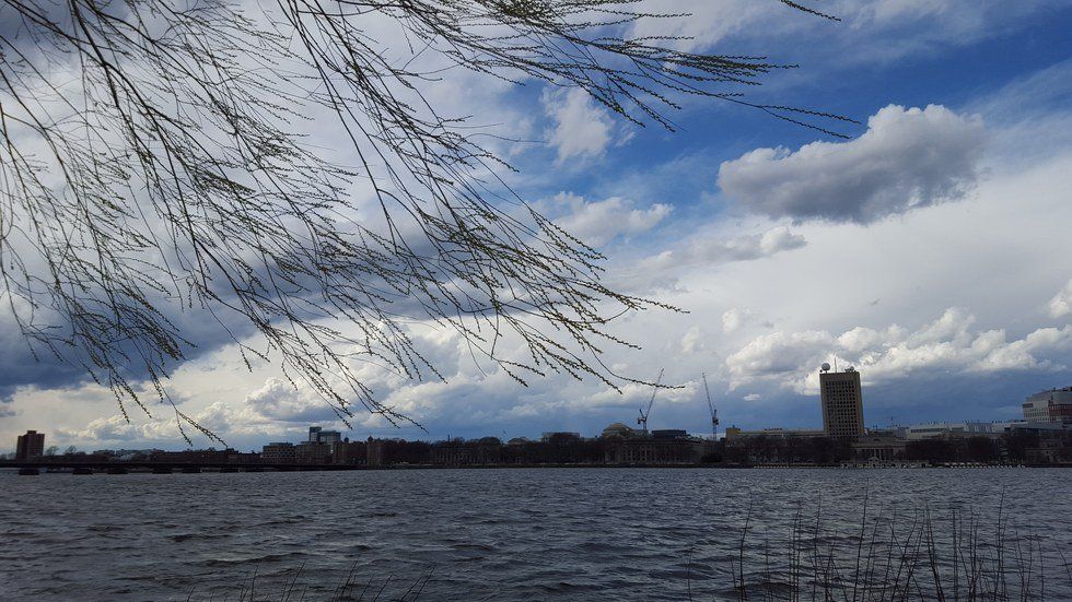 It's Spring In Boston, So Go Outside!