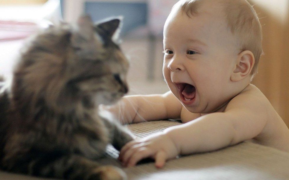 12 Pictures Of Baby Animals Literally Just To Make You Feel Better