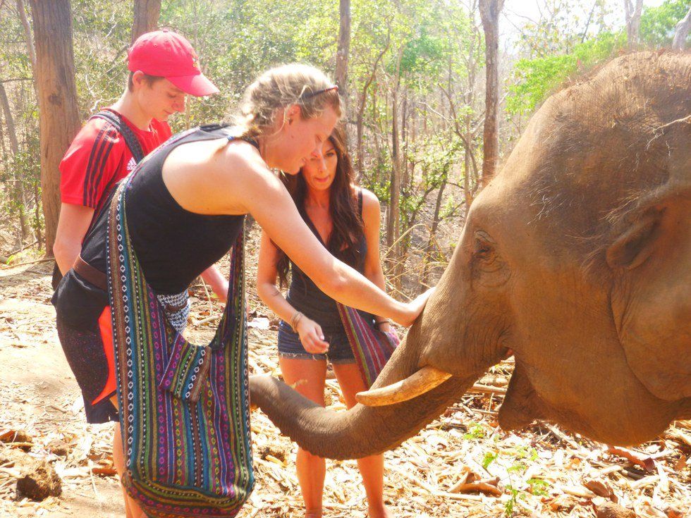 The Experience of a Lifetime: Visiting An Elephant Sanctuary