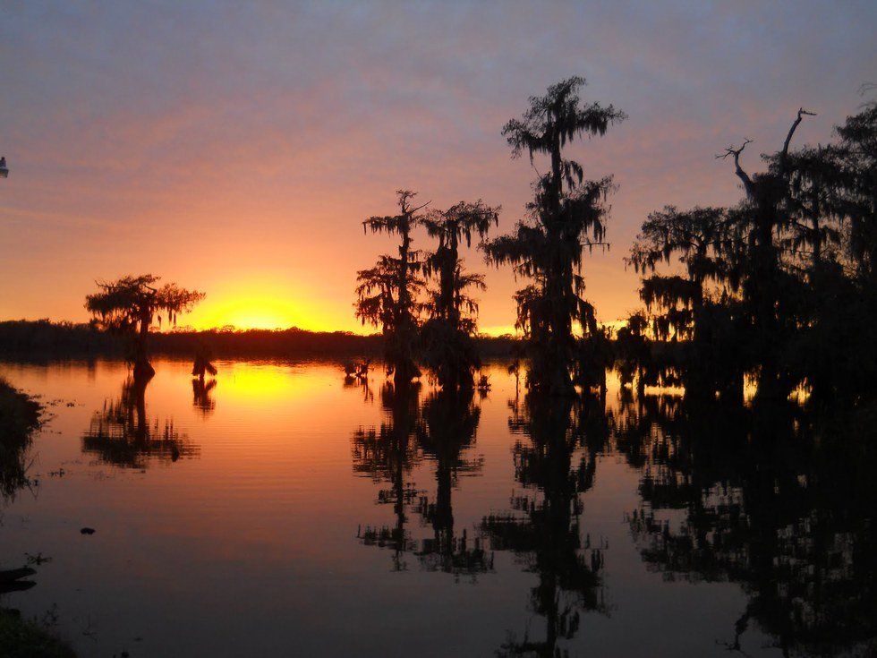 30 Things You Only Know To Be True If You Are From Louisiana