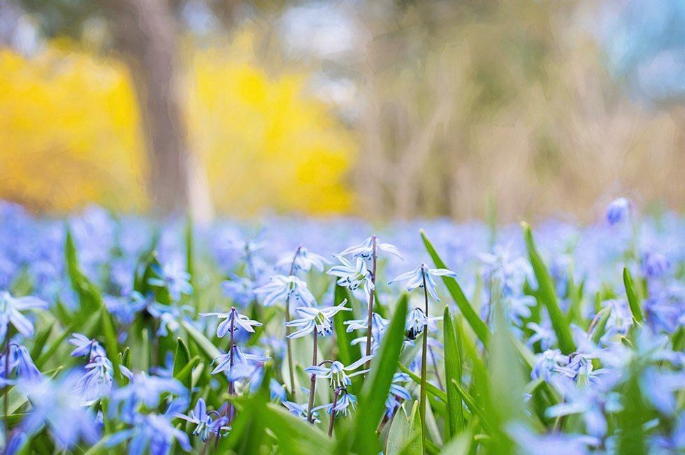 11 Easy Spring Decors for Your Dorm Room