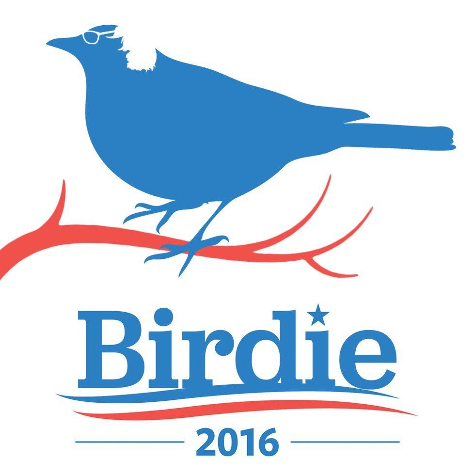 8 Reasons Why Birdie Sanders Will Be The Democratic Nominee