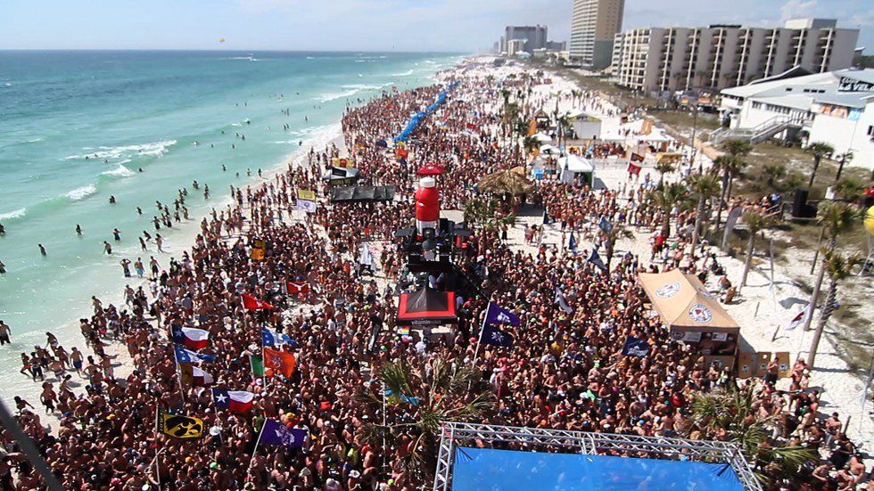 When You Stay Home for Spring Break, Explained in Gifs