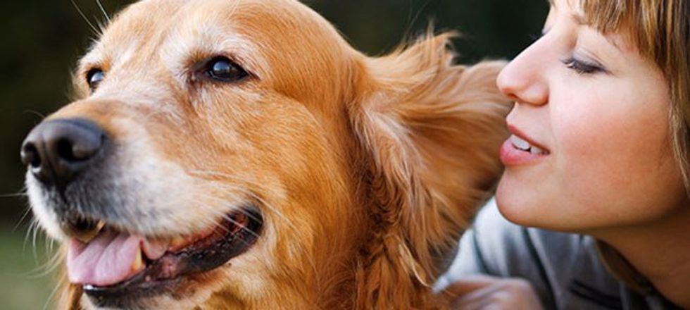 25 Things All Owners Say To Their Dogs