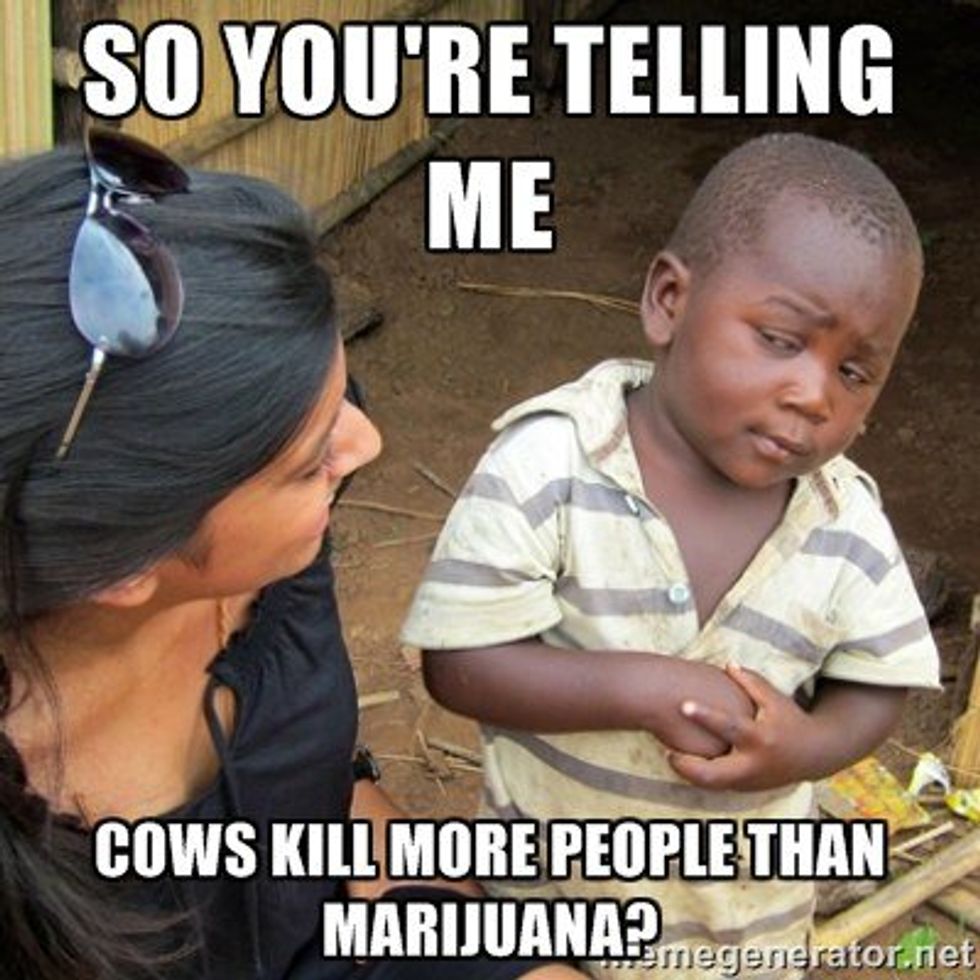 10 Things That Have Killed More People Than Marijuana