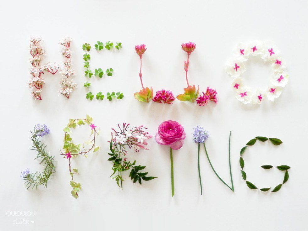 20 Reasons To Look Forward To Spring