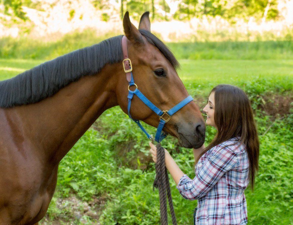 An Open Letter To My Horse