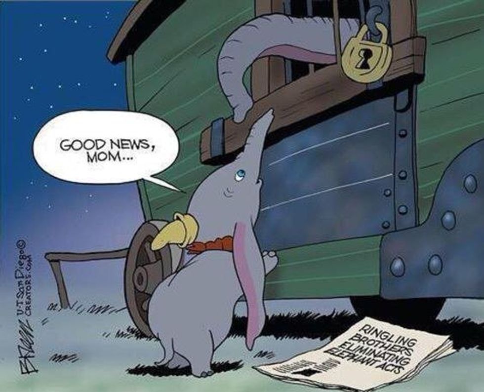 Why The Ringling Bros. Circus Should Be Banned For Good