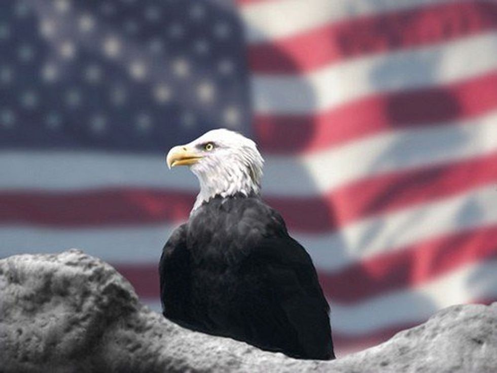 10 Signs That You're A True Patriot