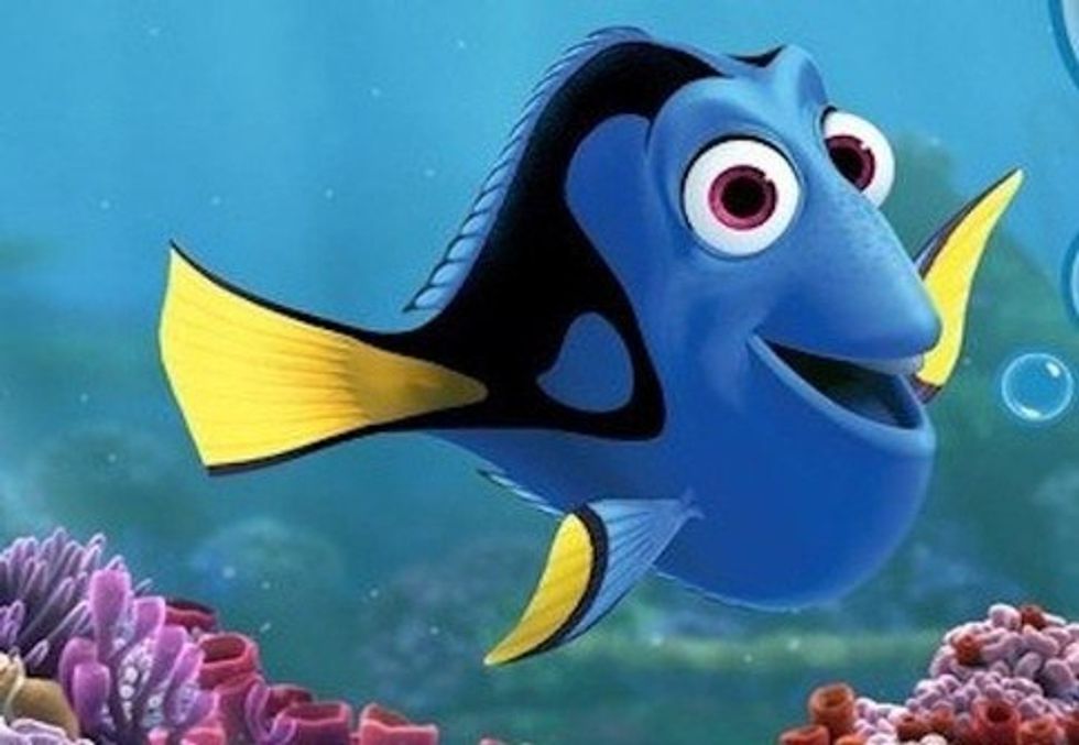 5 Reasons To Never Stop Traveling: Explained By Dory