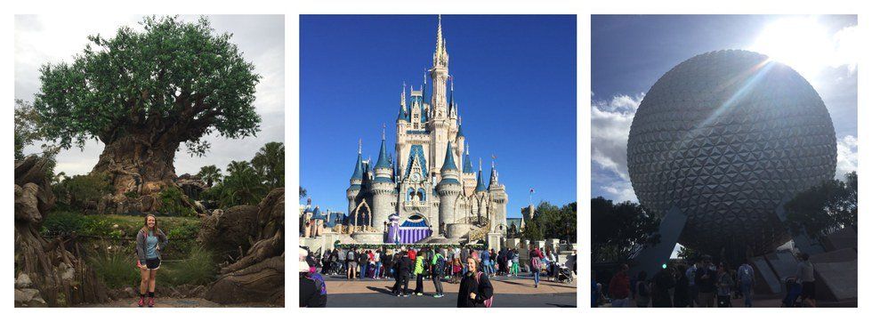 Walt Disney World Wrap-Up