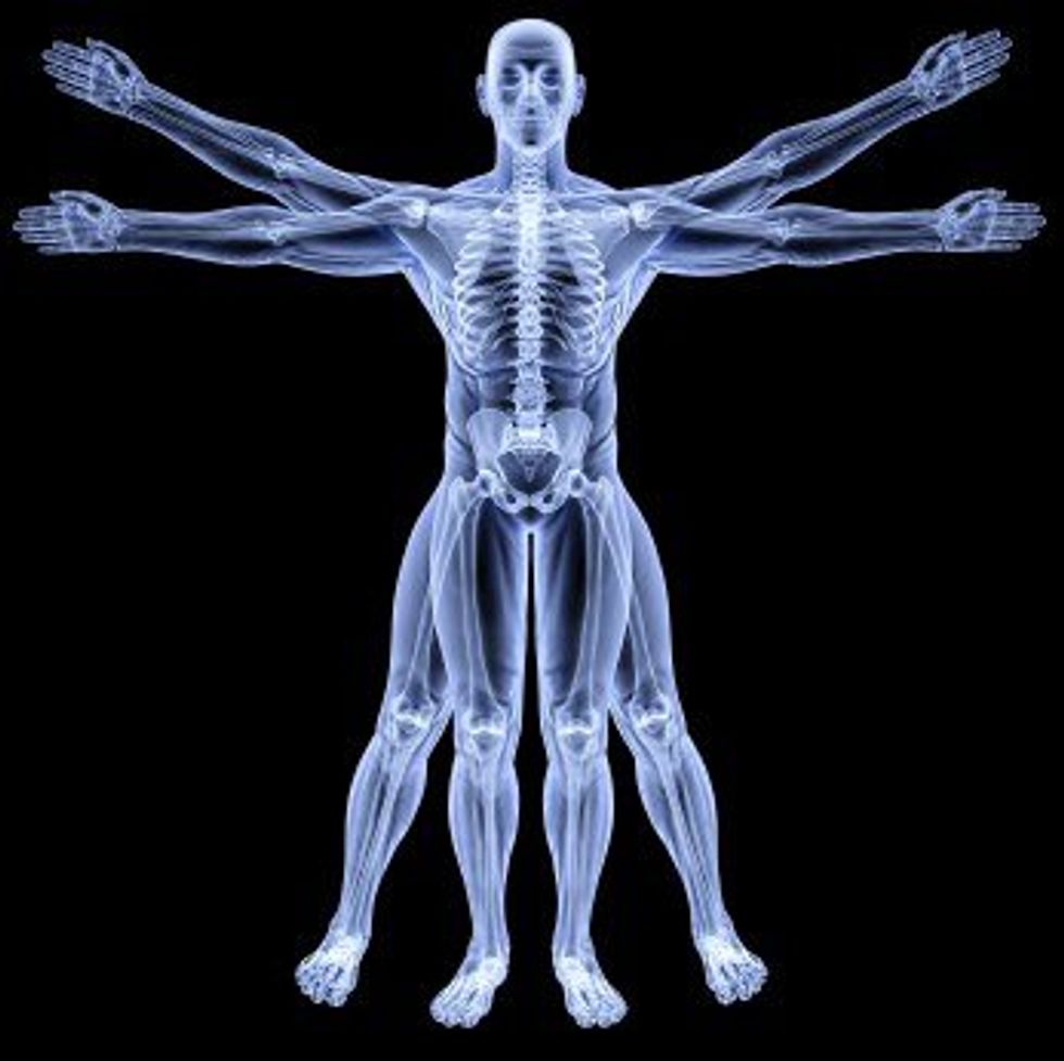 5 Weird Body Facts From Your Average Anatomy & Physiology Class