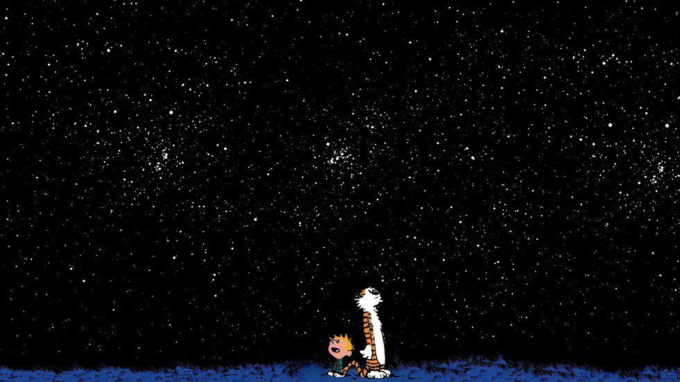 10 Best Calvin And Hobbes Comic Strips