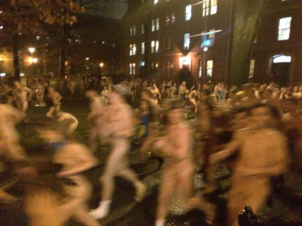 Harvard's Primal Scream: A Ve-Ri-Naked Occasion