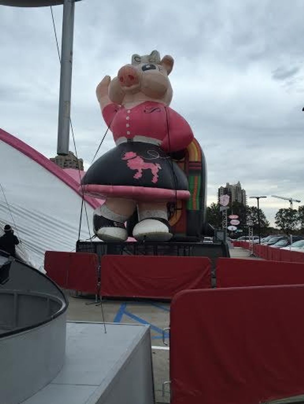 The Tradition Of Pink Pig Continues To Thrive