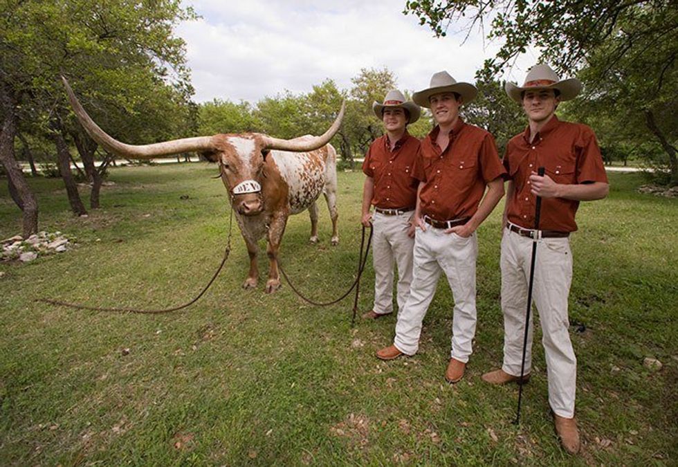 Top X Bevo XIV Moments