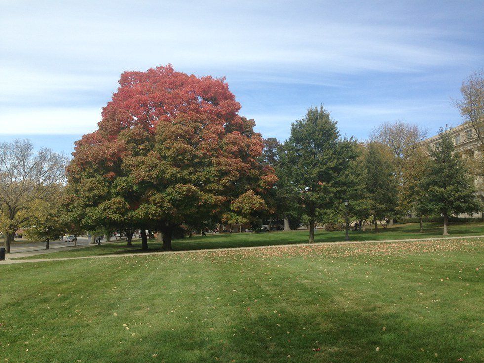 22 Things About Fall - Both Good And Bad