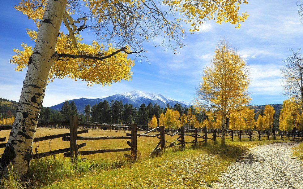 7 Best Things About Fall in Flagstaff