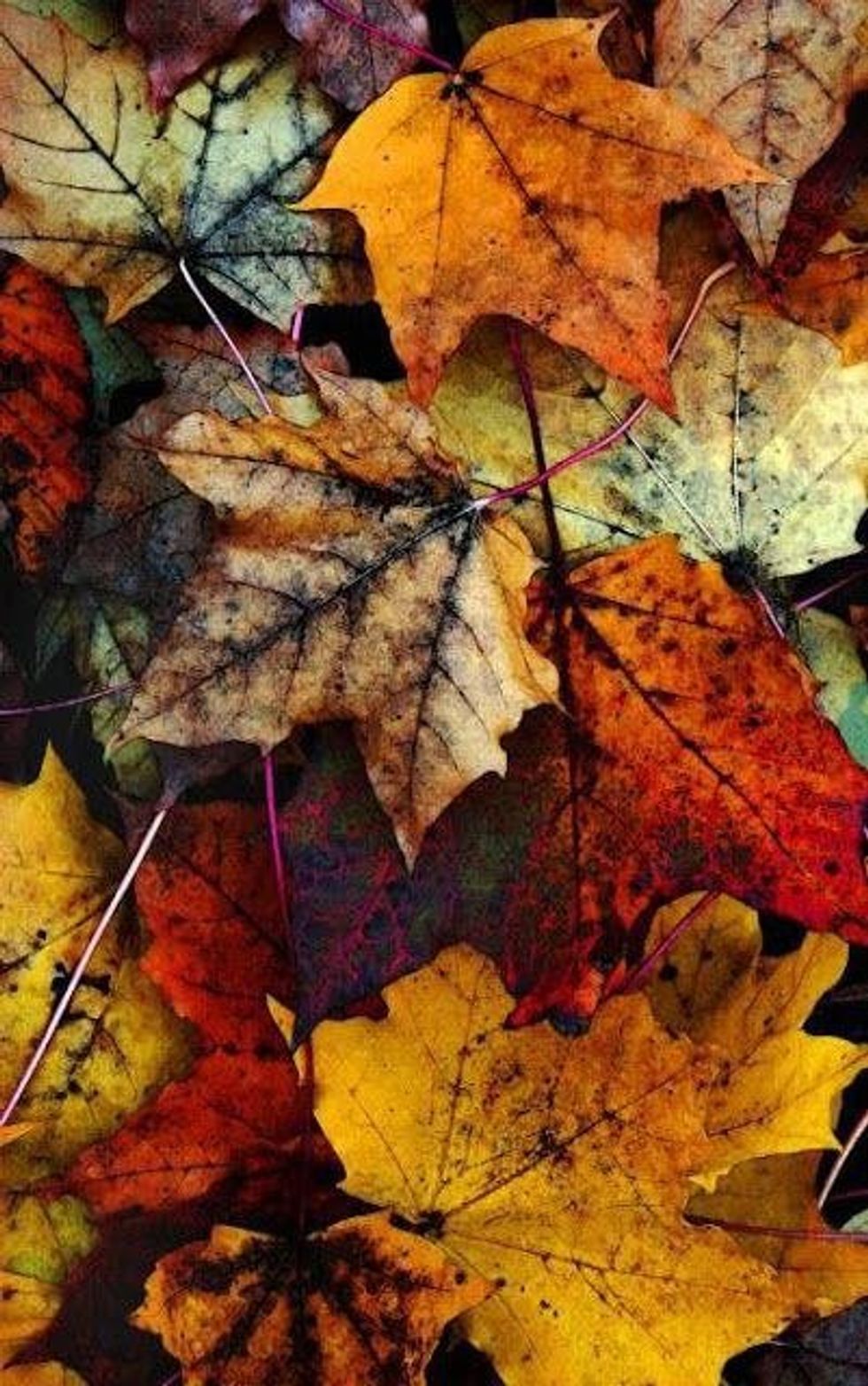 The 11 Most Underrated Joys Of Fall