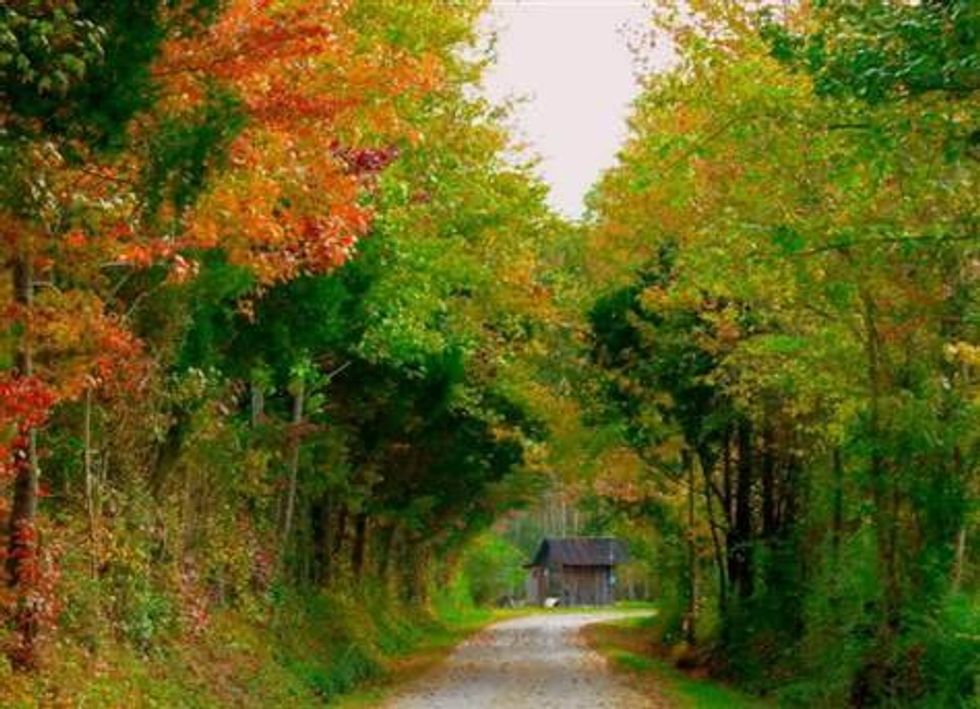 10 Reasons Alabamians Love Fall