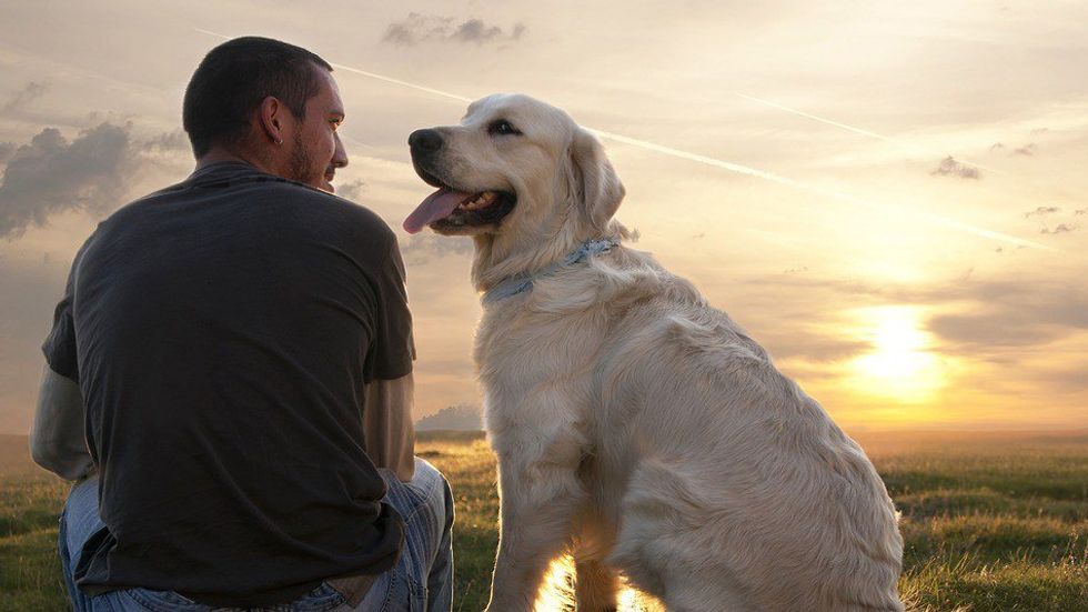 10 Reasons Why Dogs Make The Best Friends