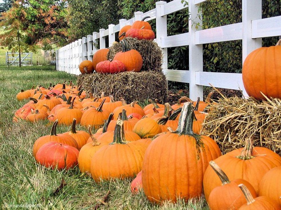 11 Things To Be Thankful For In Fall