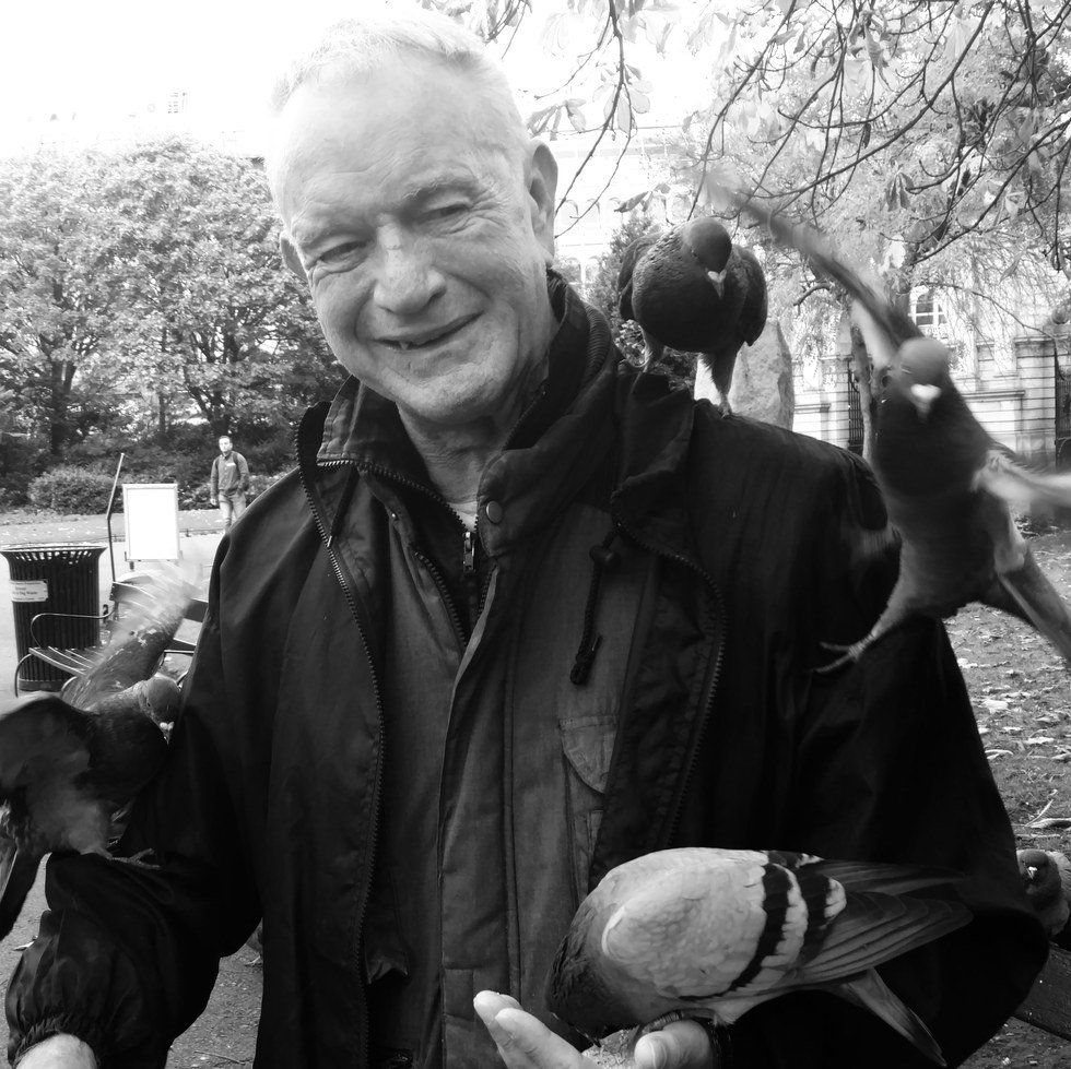 The Pigeon Man of Dublin