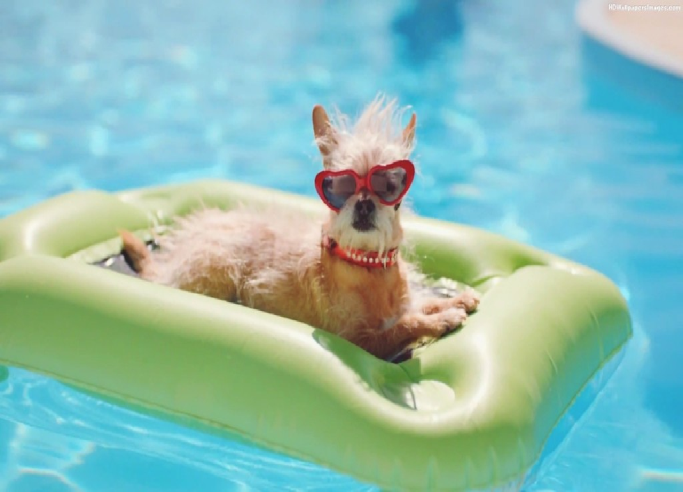 12 Things To Do This Summer If You're Broke AF