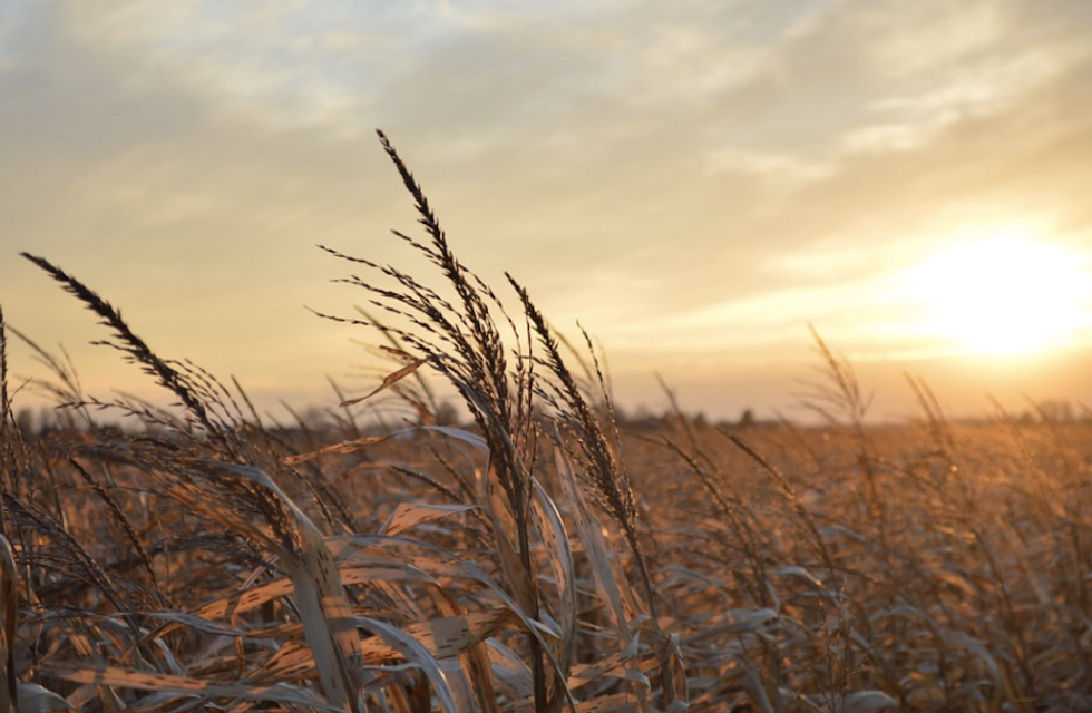 The Midwest Is The Best, Here's Why