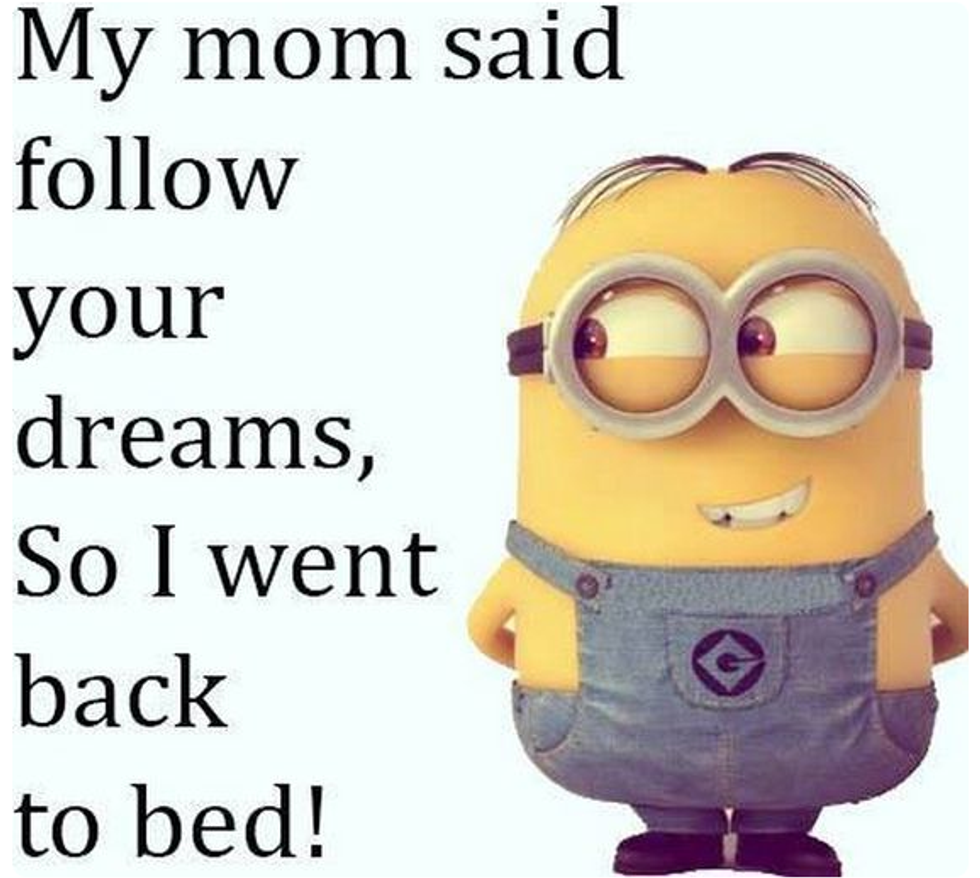 12 Minion Memes To Make You Giggle