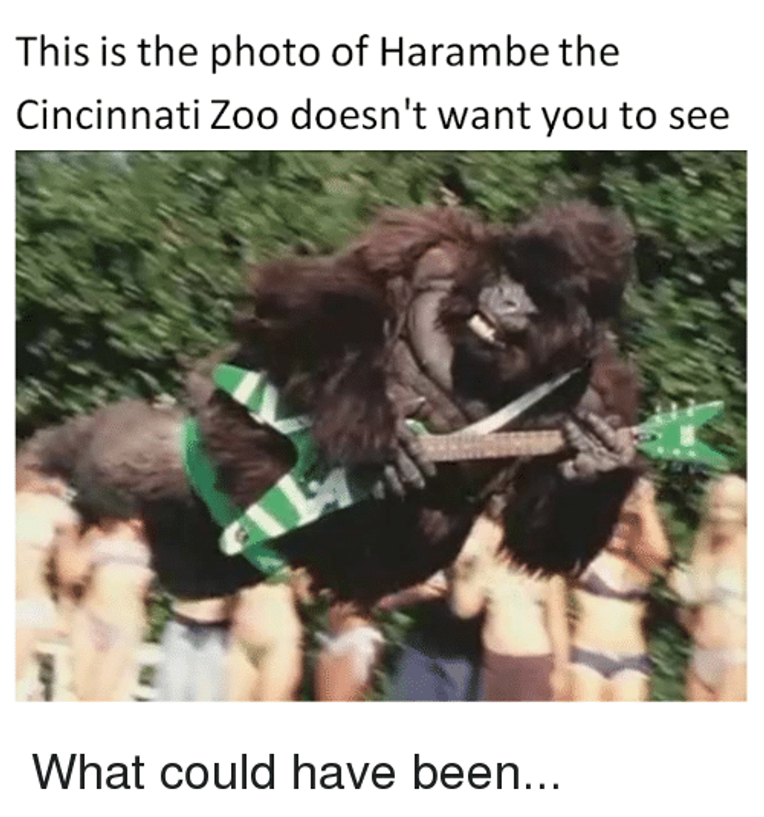 29 Harambe Memes That Touched The Depths Of Our Soul