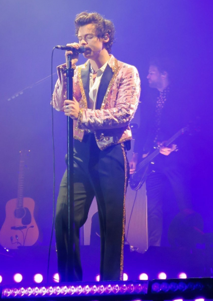 Rating Harry Styles' Love on Tour Outfits – The Abingtonian