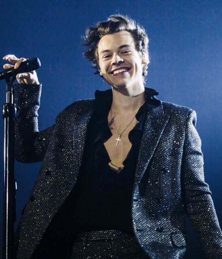 Rating Harry Styles' Love on Tour Outfits – The Abingtonian