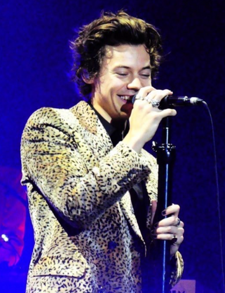 Rating Harry Styles' Love on Tour Outfits – The Abingtonian