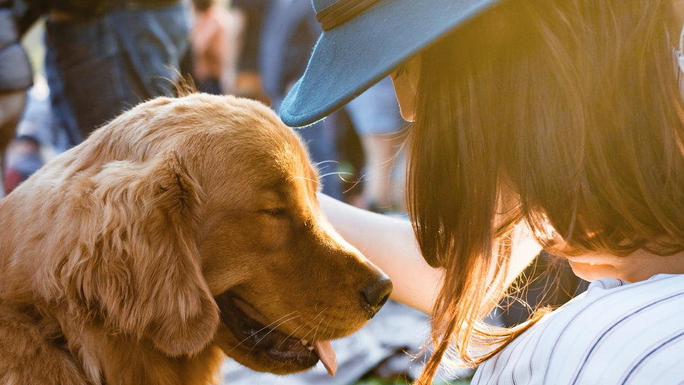 Your Pet's Health Is Your Responsibility, Don't Sabotage Your Furry Best Friend By Vaping