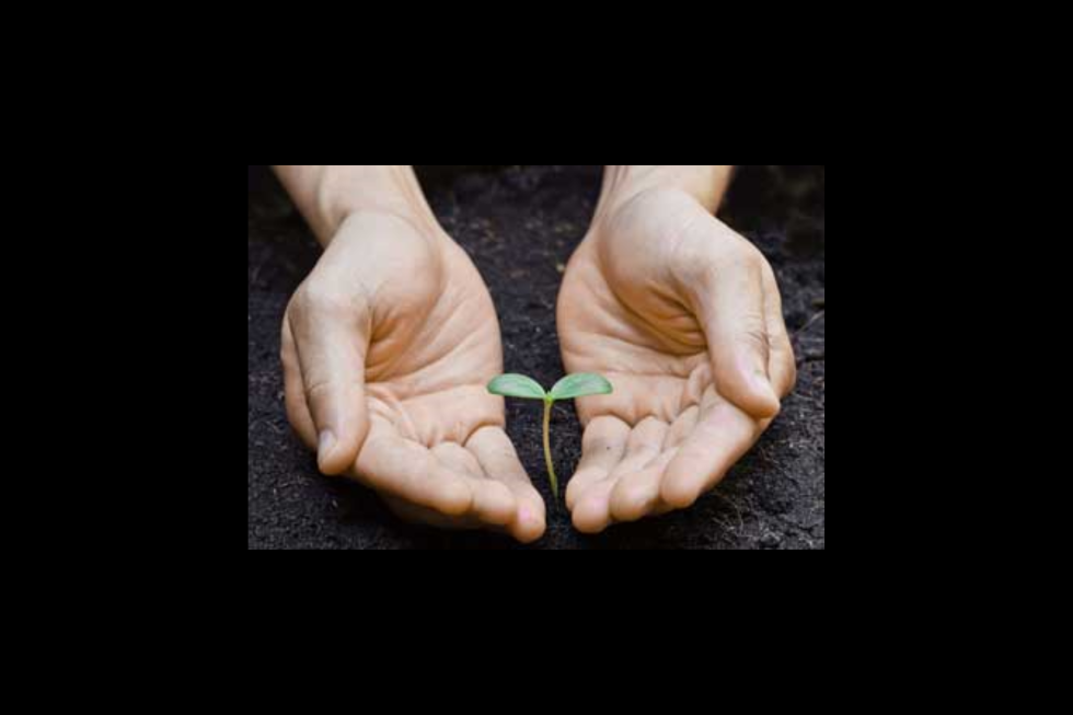 Life Is A Seedling Inside Your Hands: You Choose How To Cultivate It