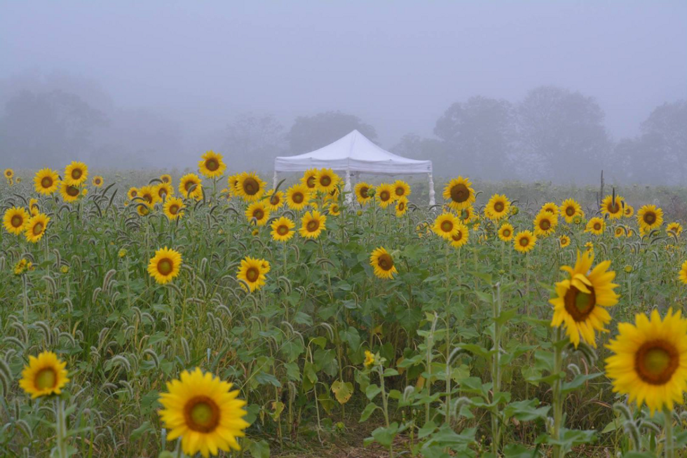 No One Said Growing Up In Sussex County, New Jersey Was Easy