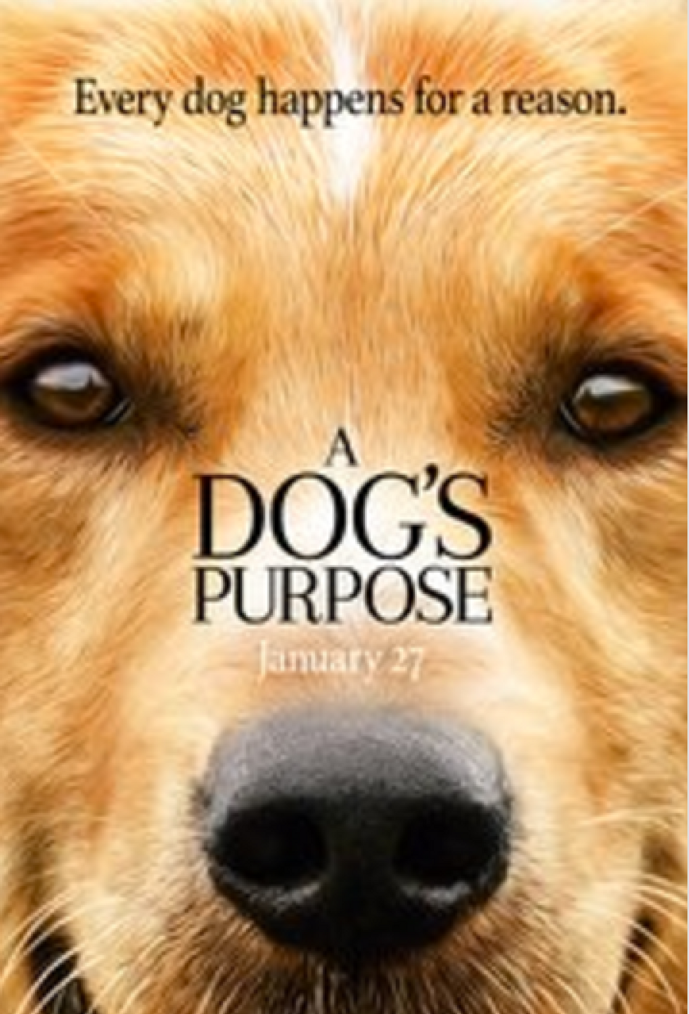 'A Dog's Purpose' Controversy...